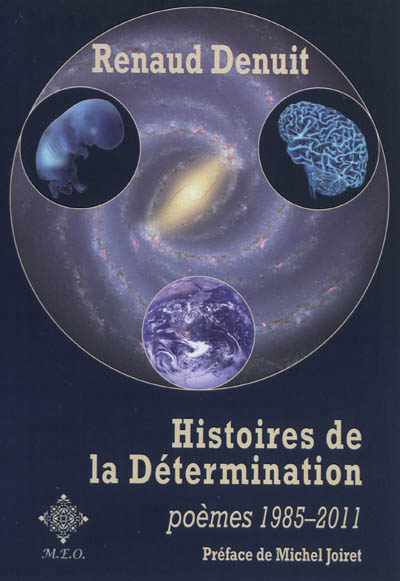 Histoires de la détermination : poèmes (1986-2011)