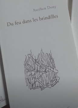 Du feu dans les brindilles