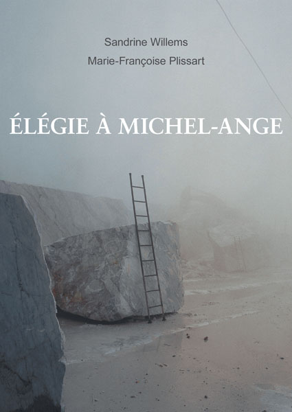 Elégie à Michel-Ange