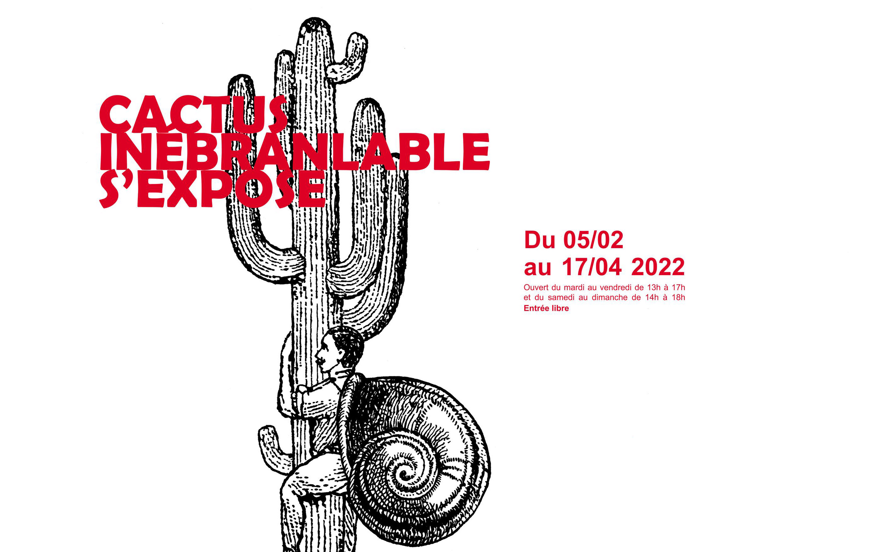 Exposition : Cactus Inébranlable s'expose