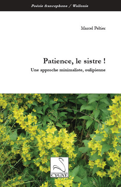 Patience, le sistre ! : une approche minimaliste, oulipienne