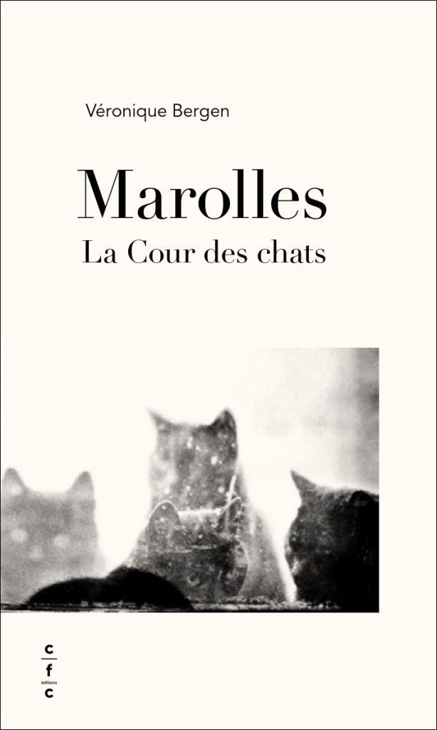 Marolles. La cour des chats