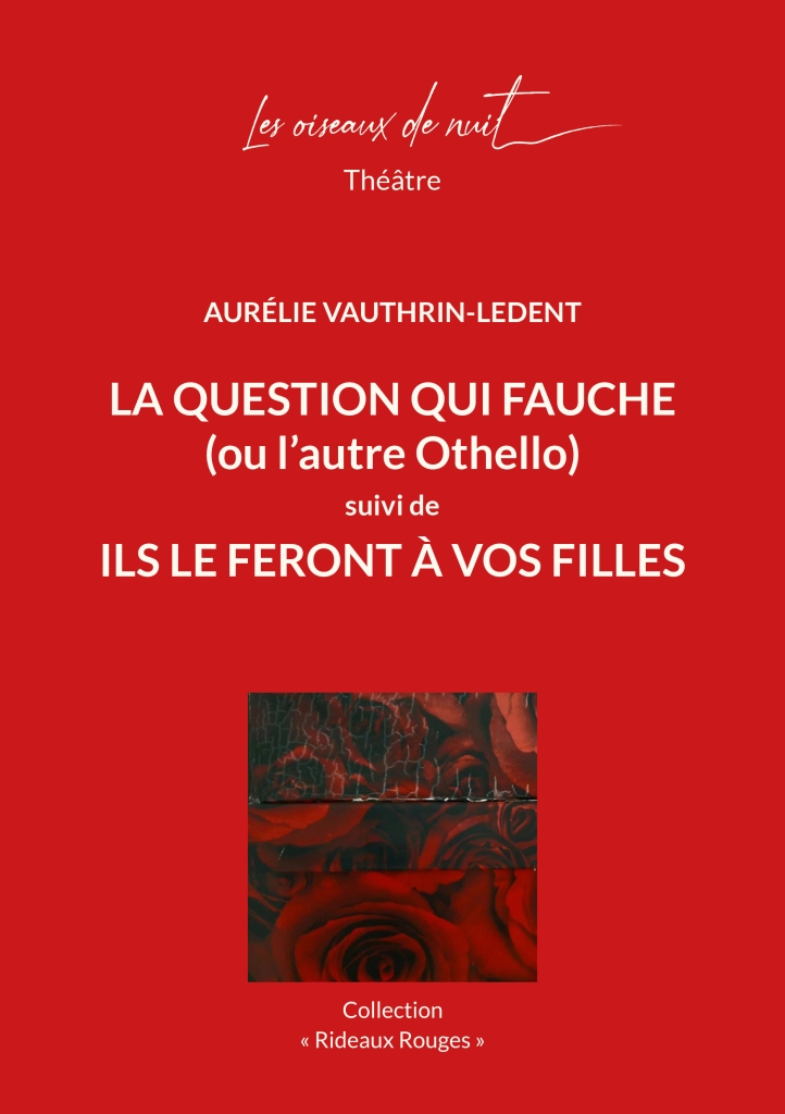 Rencontre avec Aurélie Vauthrin-Ledent : Ils le feront à vos filles