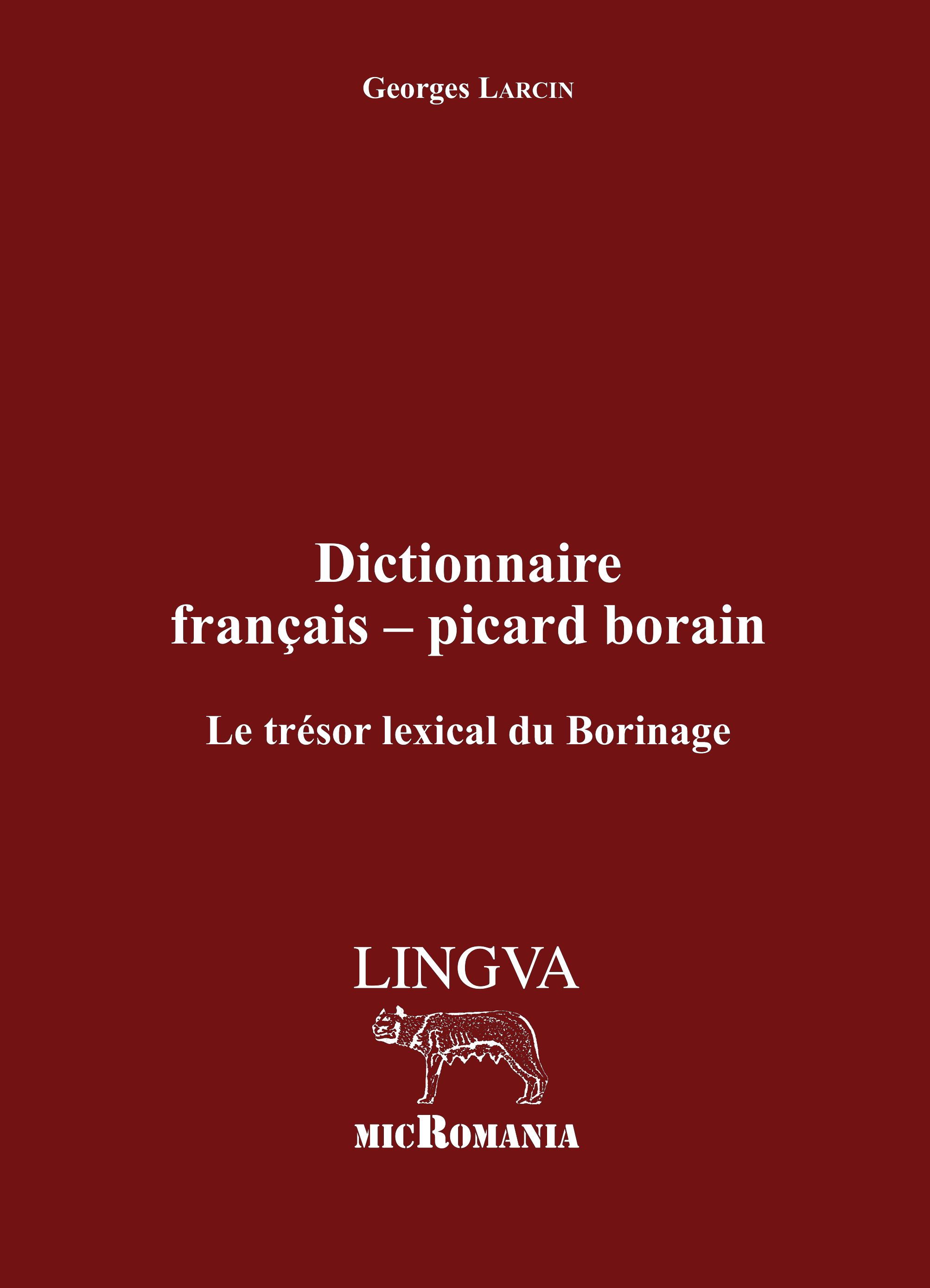Dictionnaire français–picard borain : Le trésor lexical du Borinage
