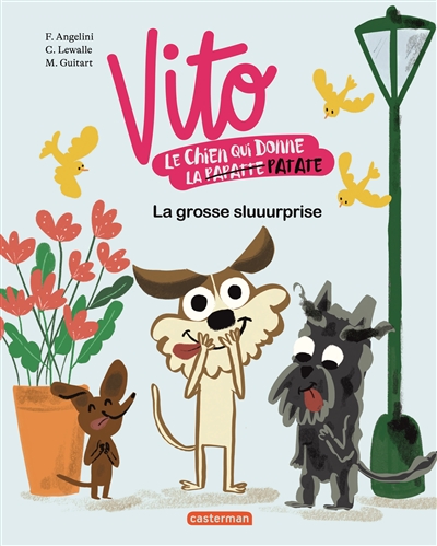 Vito le chien qui donne la papatte… oups la patate ! : La grosse sluuurprise
