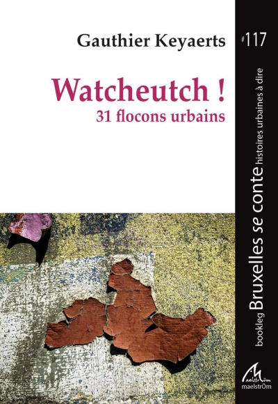 Watcheutch ! 31 flocons urbains