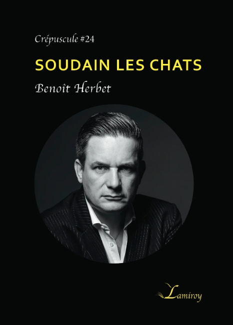 Soudain les chats