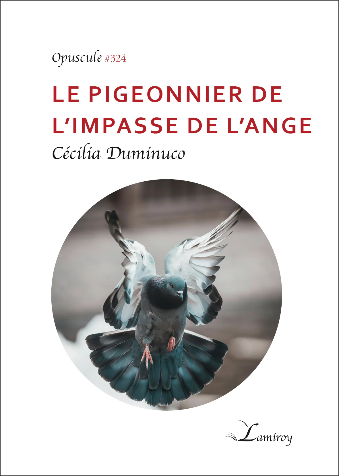 Le pigeonnier de l'impasse de l'ange