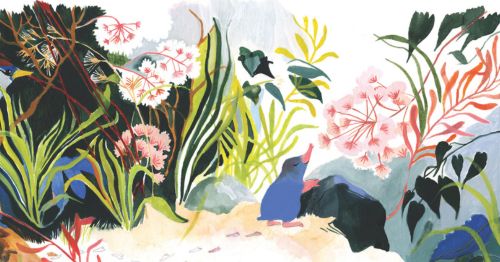 Lecture dessinée de CRIC ! CRAC ! par Nina Neuray & Aurélien Dony